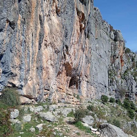 Arija Daire Bilice Dış mekan fotoğraf