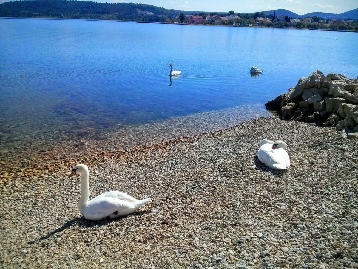 Arija Daire Bilice Dış mekan fotoğraf